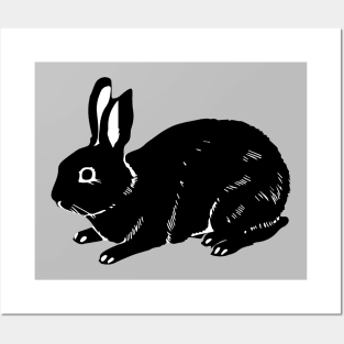 Californian Mini Rex Rabbit Beautiful Animal in the Forest Posters and Art